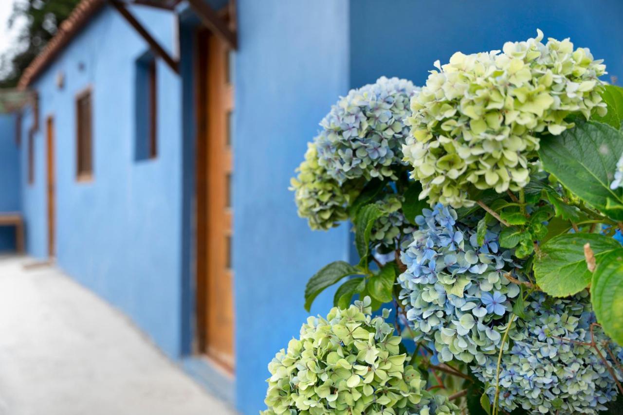 Casa Azul Del Roque Negro Villa Santa Cruz de Tenerife Exteriör bild